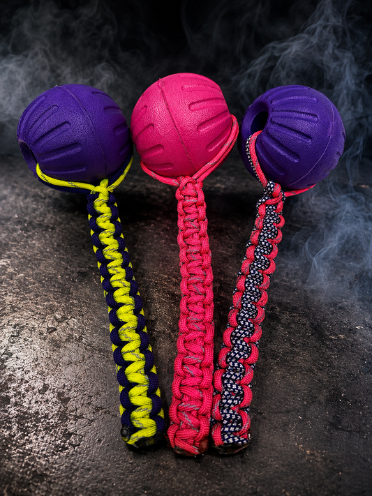 Medium obedience ball with paracord handle