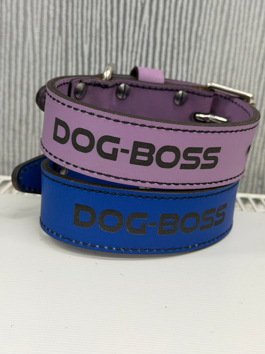 38mm wide small puppy leather collars one cobolt blue & one lavender