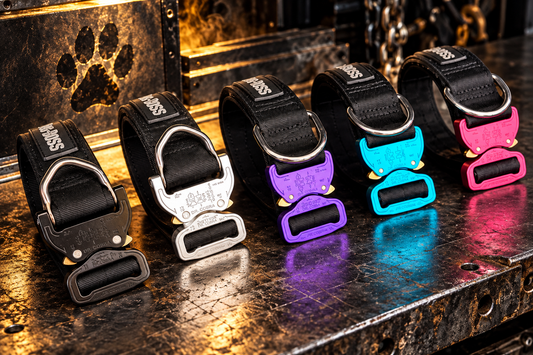 38mm wide pro collar