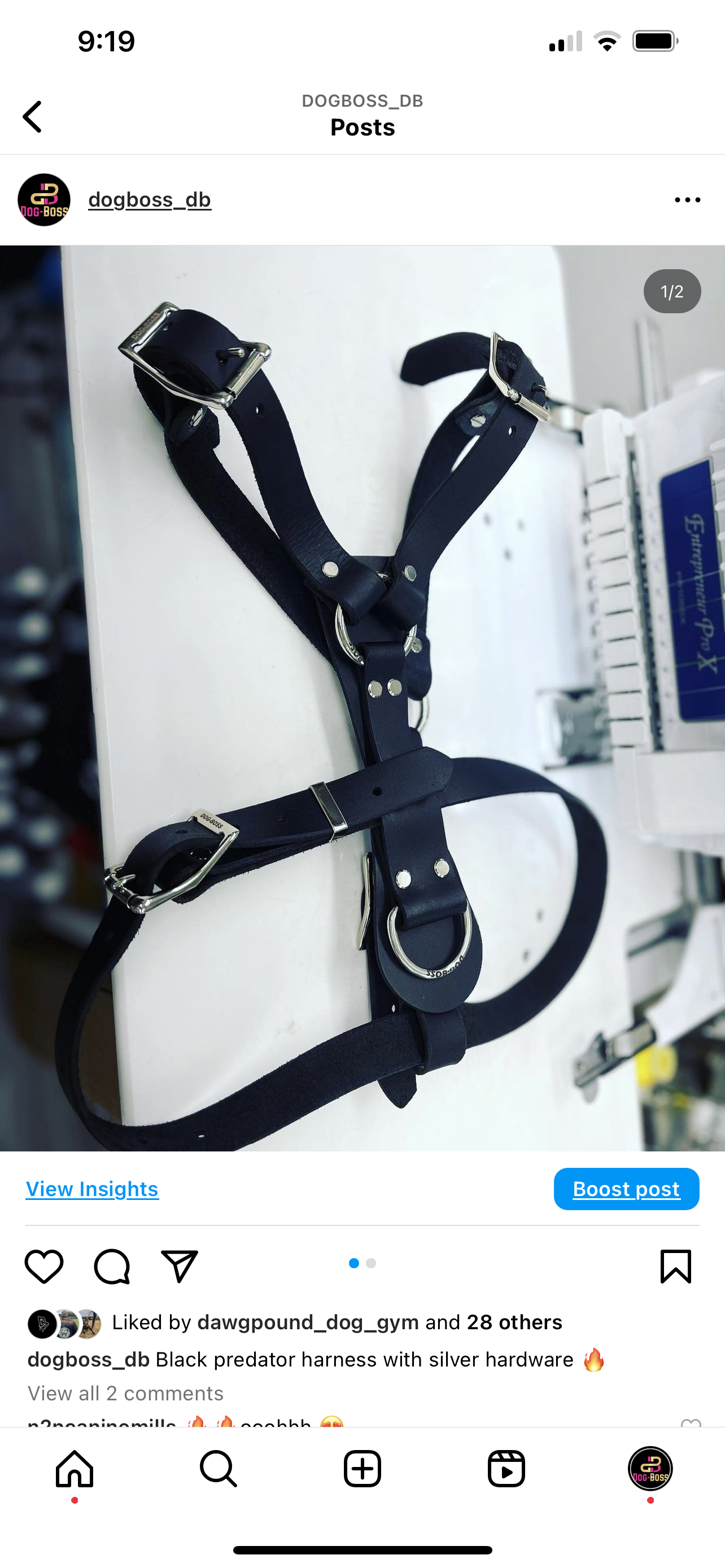 Predator harness