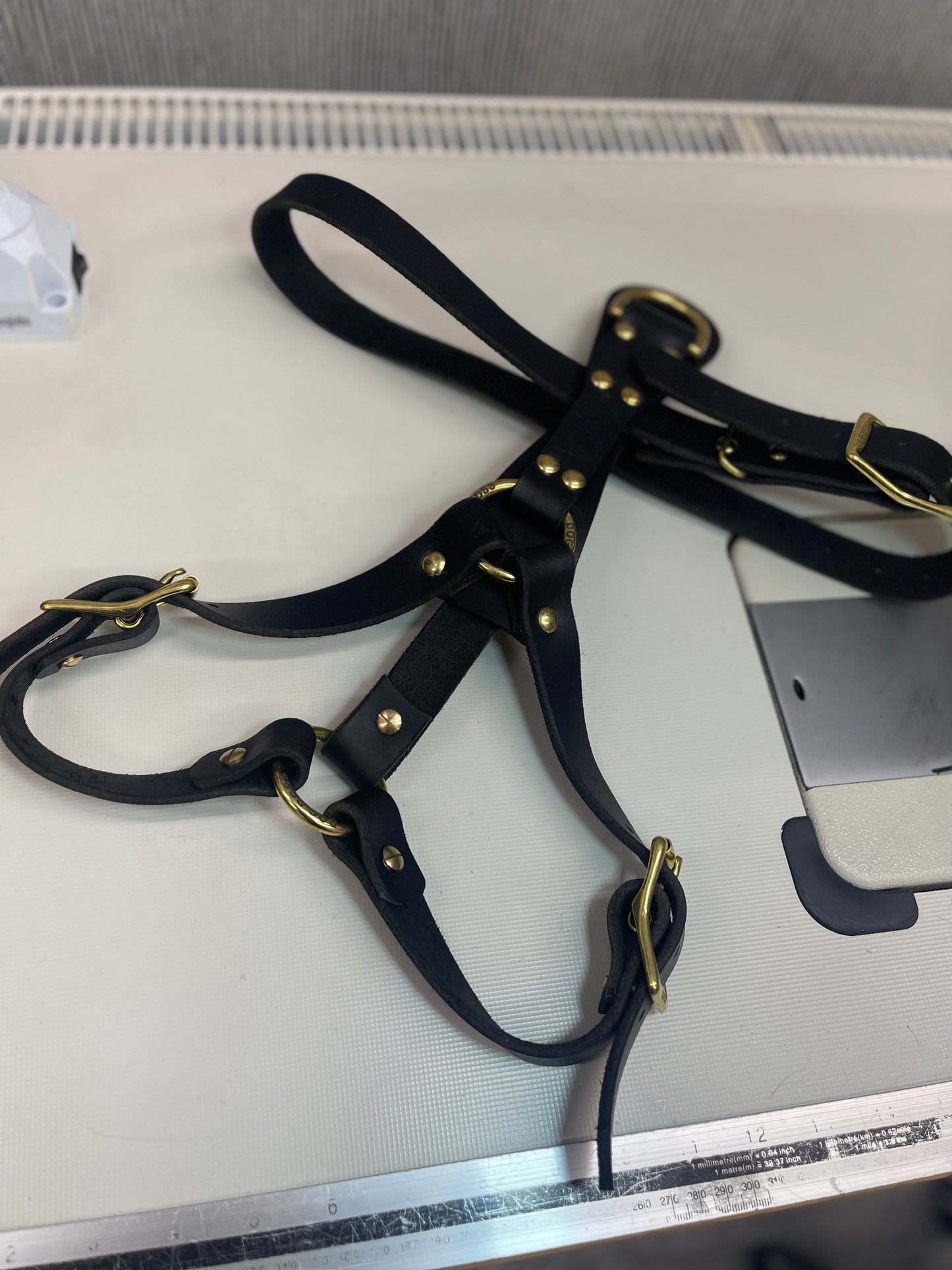 Predator harness