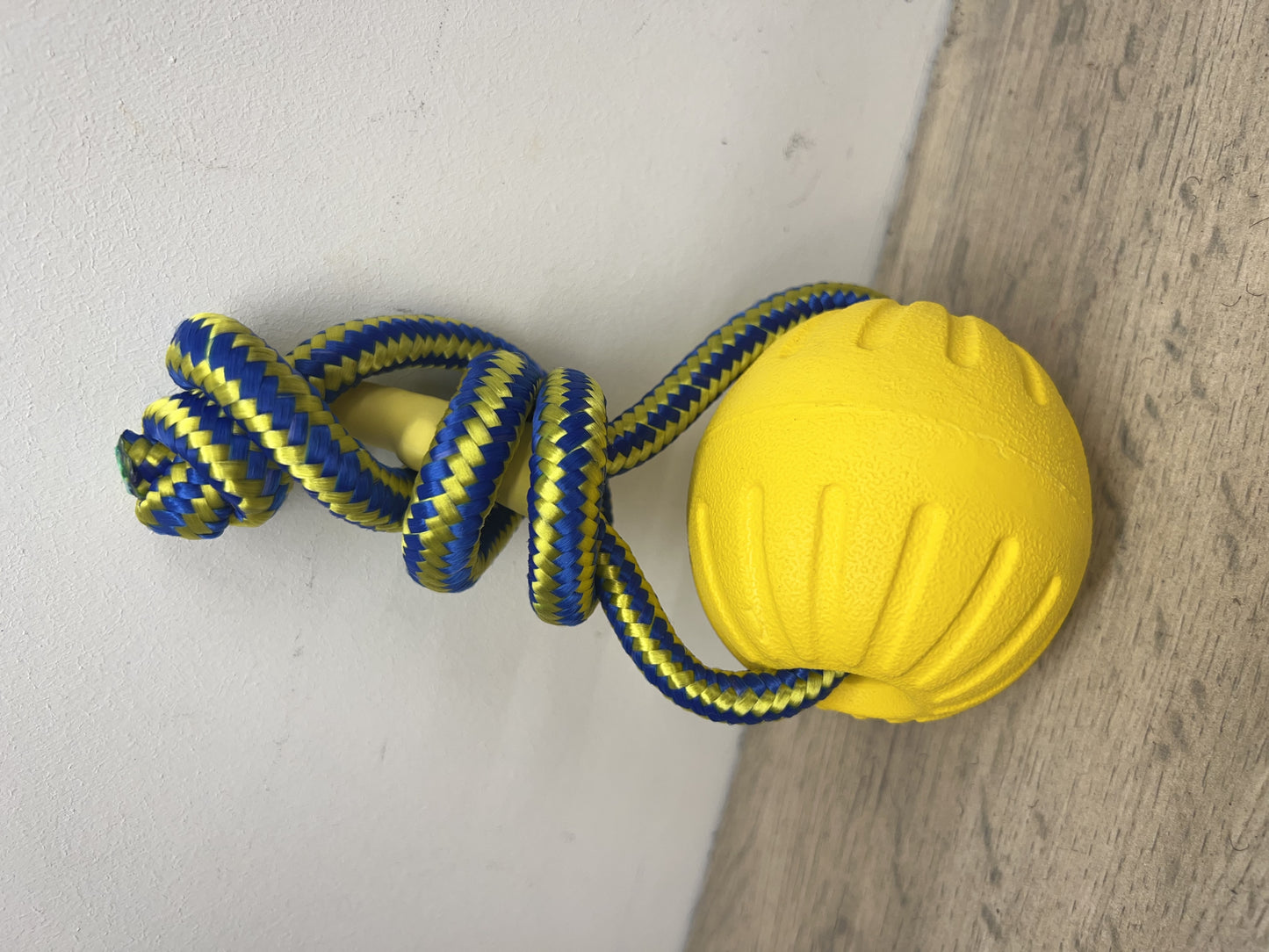 Medium obedience ball on rope